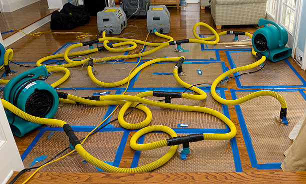 Professional Water Damage Restoration technician working in Vienna, IL